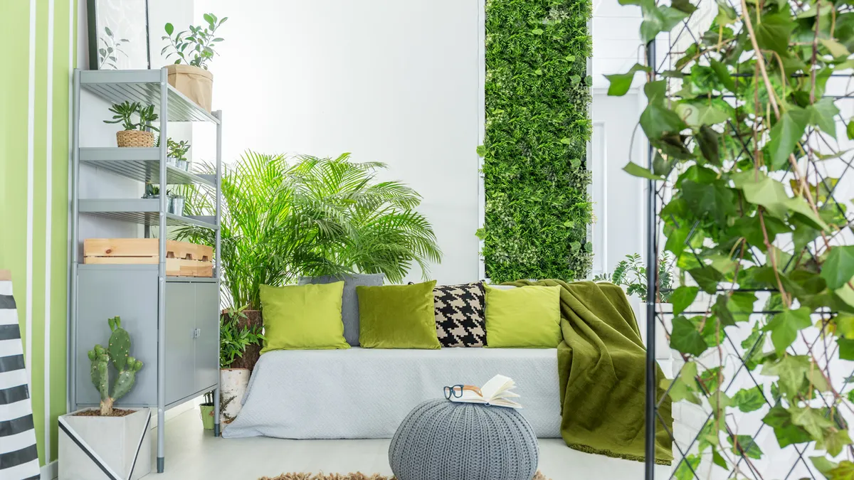 Vlytor: Expert Care for Your Indoor Plants